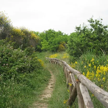 Da Lorella Gabicce Mare