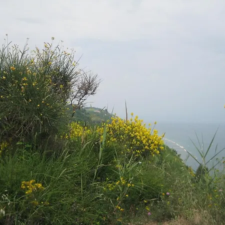 Da Lorella Gasthuis 4*