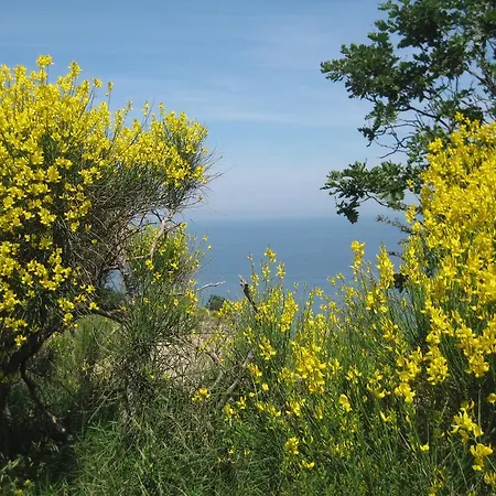 Da Lorella Gabicce Mare
