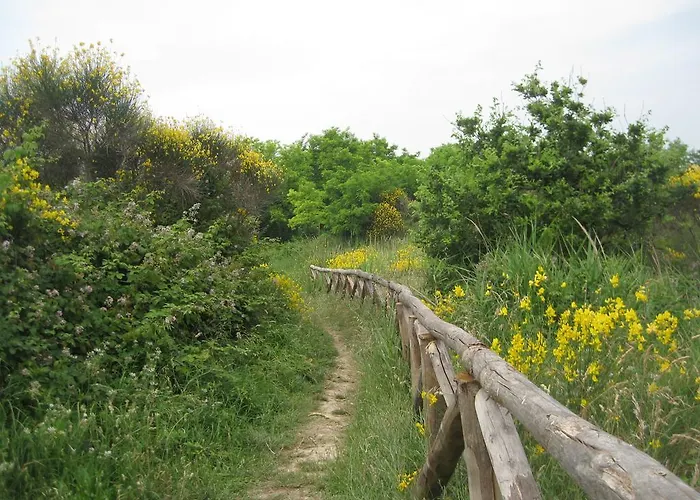 Da Lorella Gabicce Mare