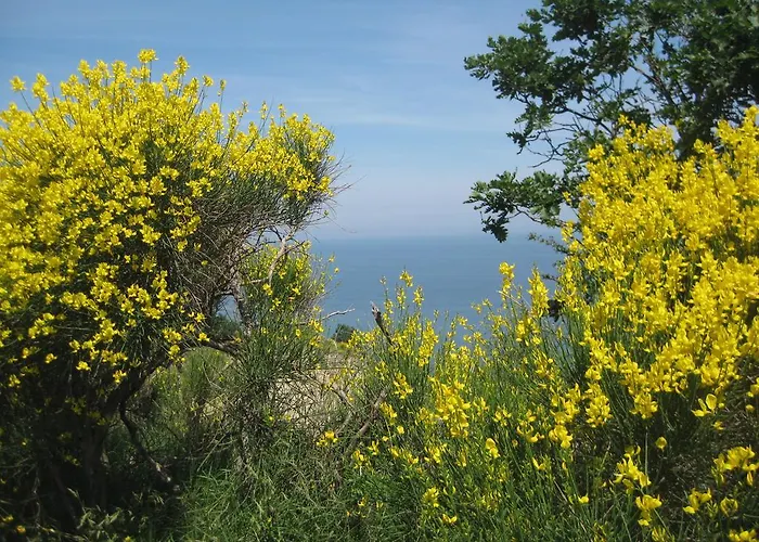 Da Lorella Gabicce Mare